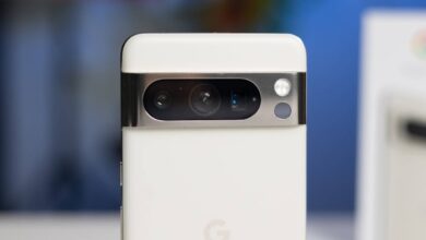 Google, Pixel 8 Pro'nun Pawtrait özelliği