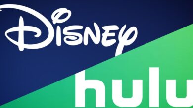 Disney Hulu