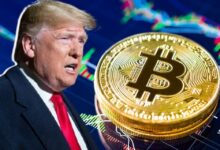 Bitcoin Rekor Kırmaya devam ediyor: Trump’ın 2024 Vaatleri Piyasayı Hareketlendirdi!