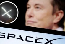 Musk'ın SpaceX'i Aralık ayında hisse başına 135 dolardan teklifte bulunmaya hazırlanıyor