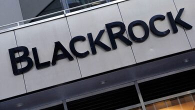 Yapay Zeka Analitik Firması Pyramid, BlackRock’tan 50 Milyon Dolarlık Yatırım Almayı Başardı.